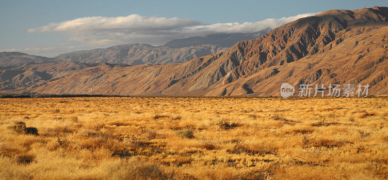 Anza Borrego沙漠国家公园，圣地亚哥县，美国加利福尼亚州